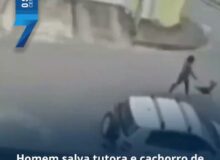 Homem impede ataque de pitbull contra mulher e cachorro em Juiz de Fora