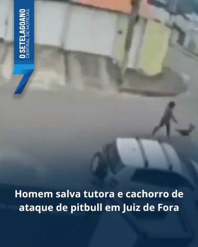 Homem impede ataque de pitbull contra mulher e cachorro em Juiz de Fora